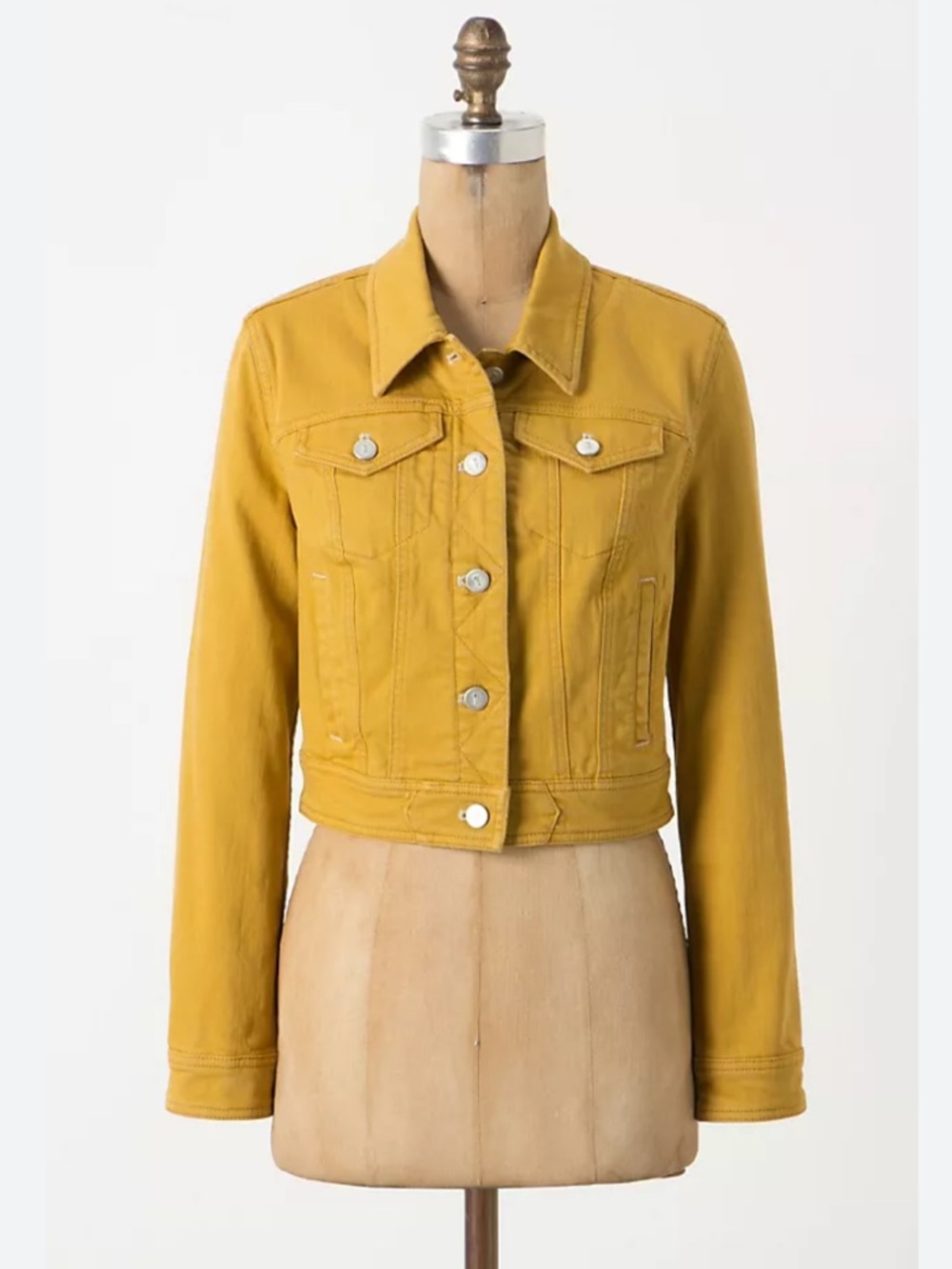 Pilcro and the Letterpress Anthropologie Cropped Denim Jacket Size Medium